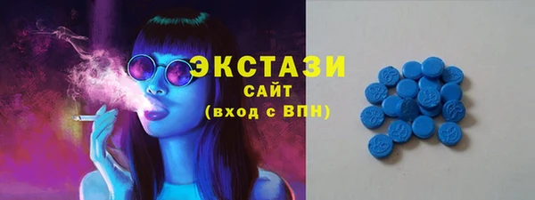 тгк Новозыбков