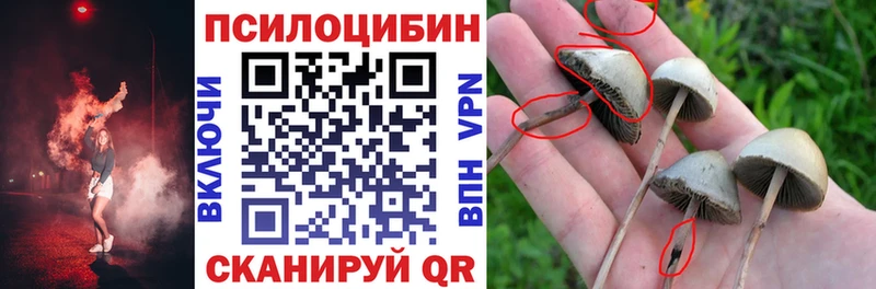 Галлюциногенные грибы ЛСД Олонец
