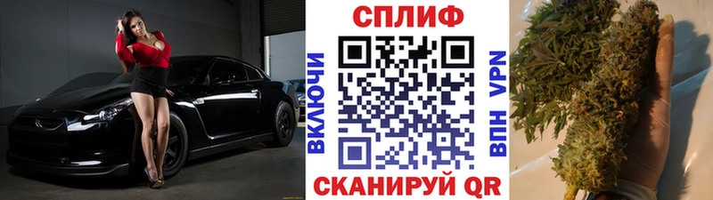 цены omg онион Шишки марихуана марихуана Олонец